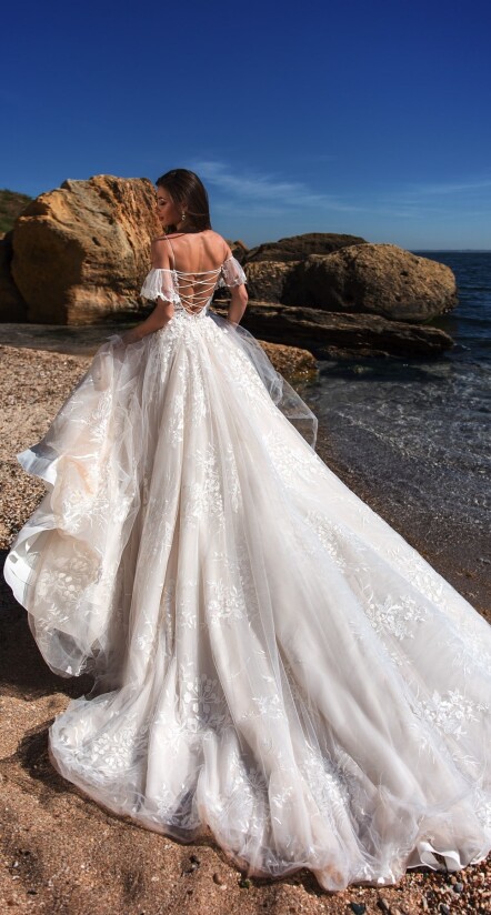 Immagine Codakia Tigerina IT 273 - 2