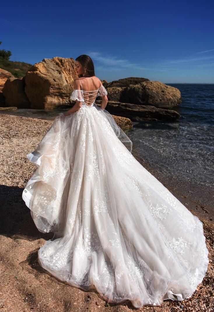 Immagine Codakia Tigerina IT 273 - 2