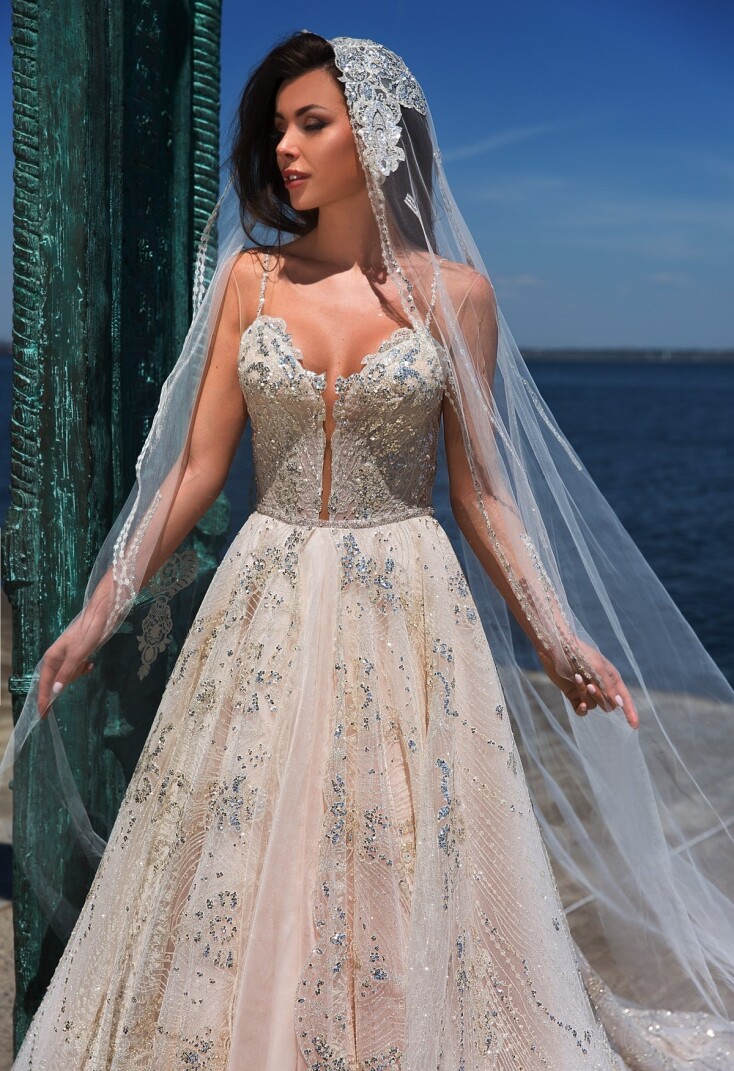 Bild Strombus Aurisdianae DE 274 - 4