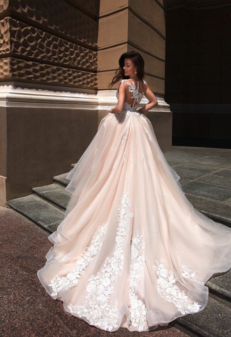 Fotografia Cupraea Tigris PL 282 - 2