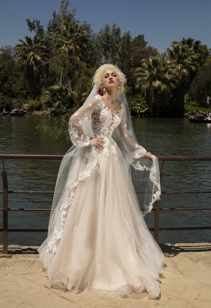 Bild Anemone DE 287 - 4