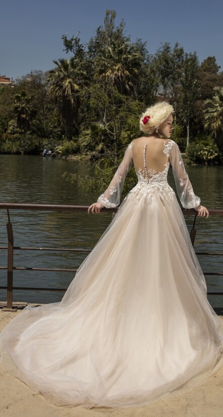 Fotografia Anemone PL 287 - 2