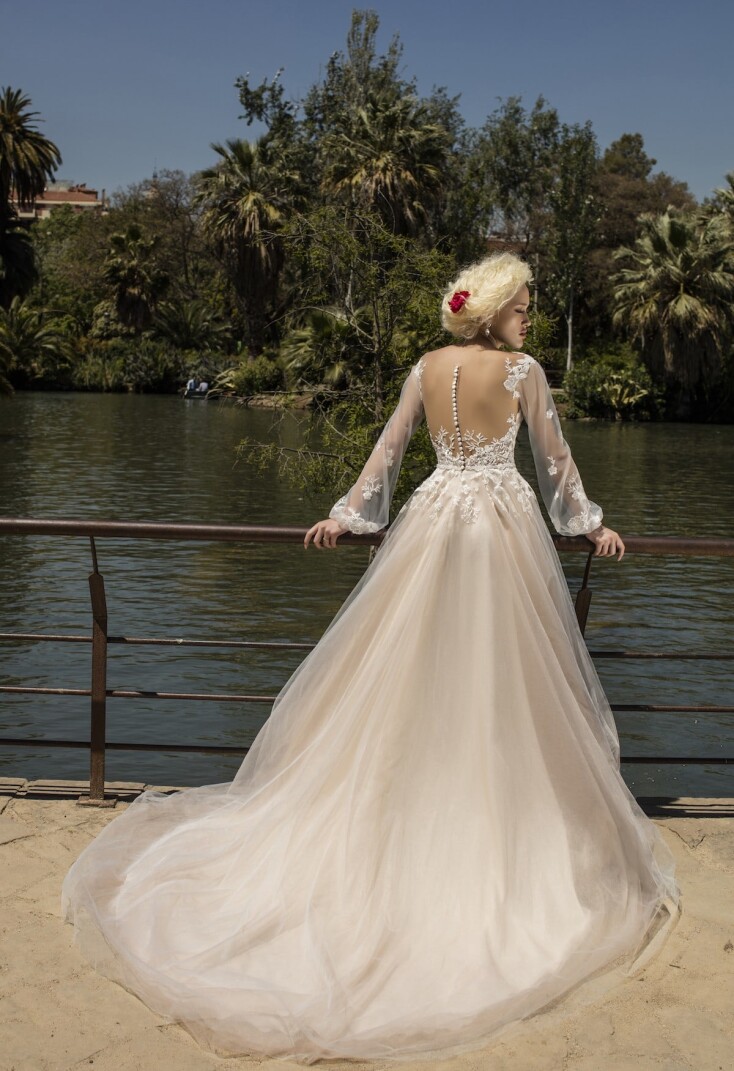 Bild Anemone DE 287 - 2