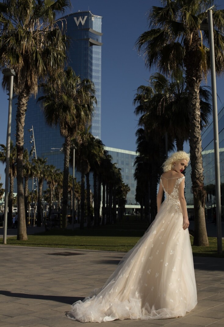 Picture Clematis EN 295 - 2