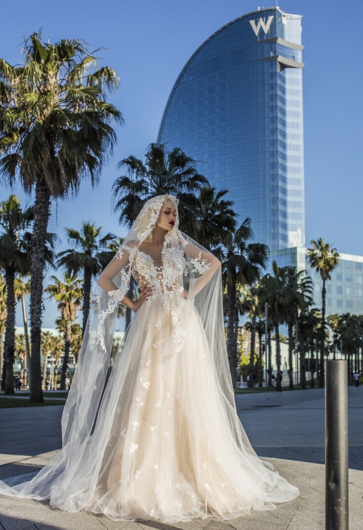 Picture Clematis EN 295 - 4