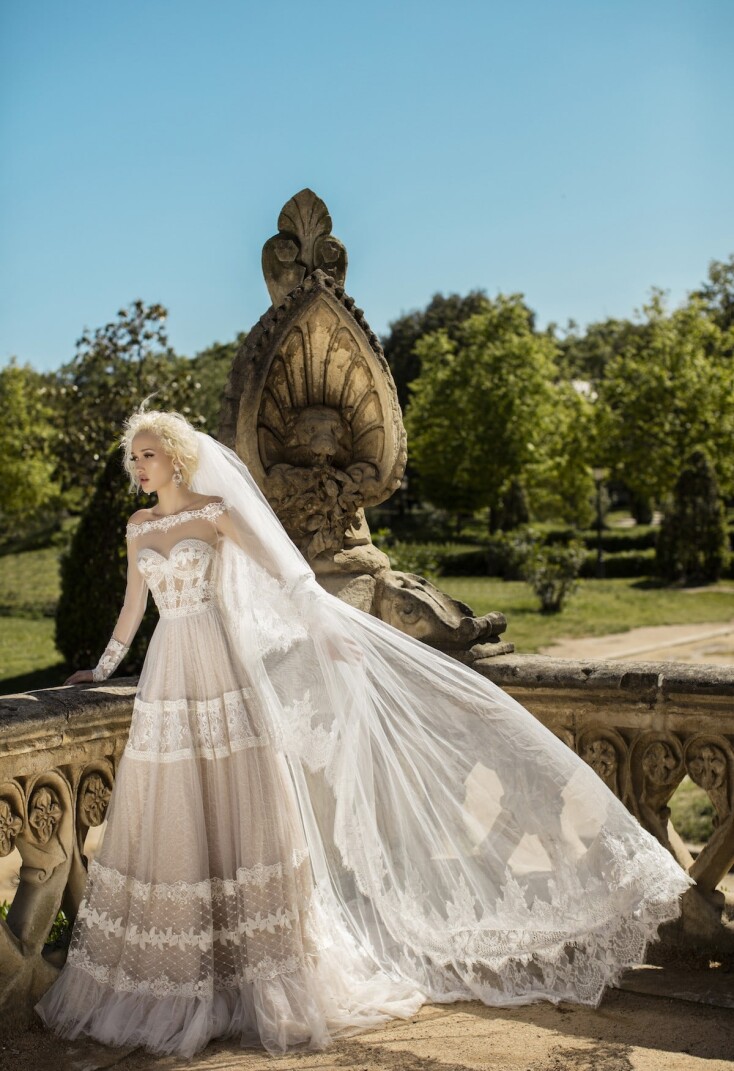 Image Vervain FR 296 - 4