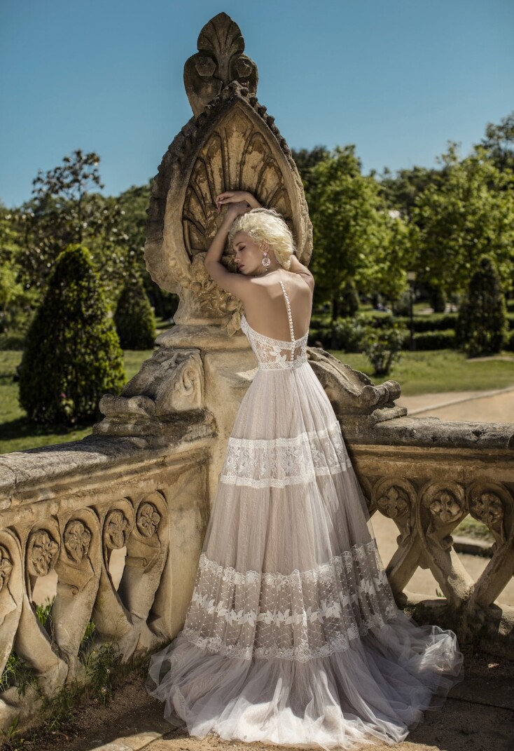 Image Vervain FR 296 - 2