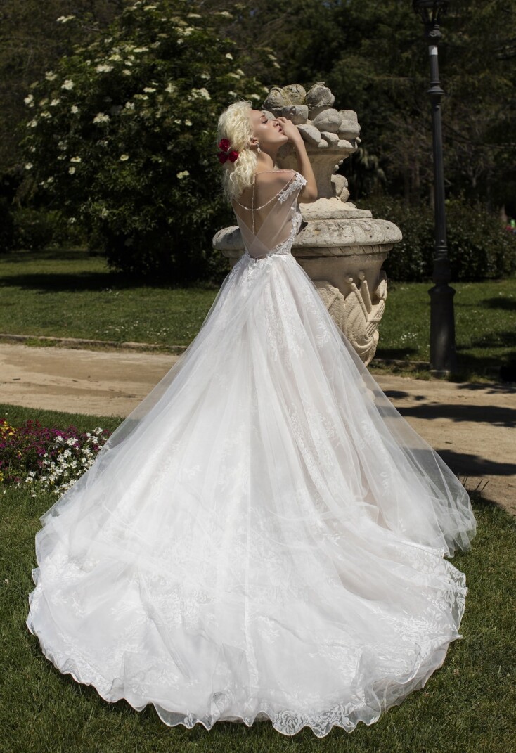 Bild Acacia DE 297 - 2