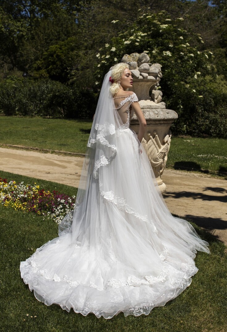 Bild Acacia DE 297 - 4