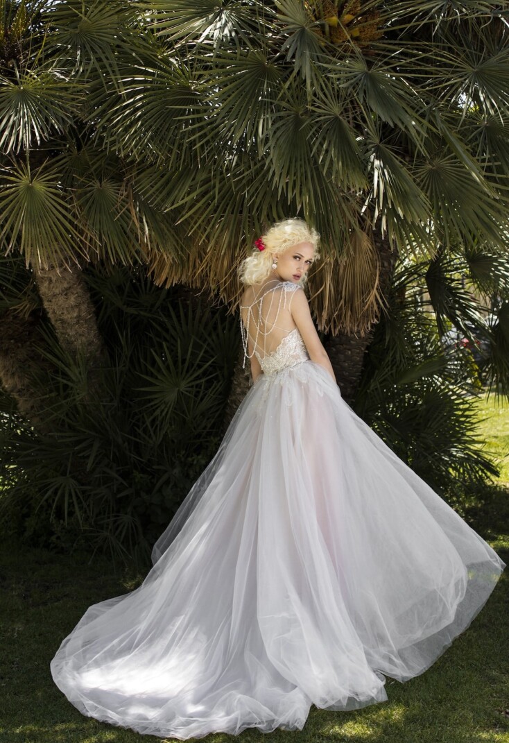 Picture Salvia EN 302 - 2