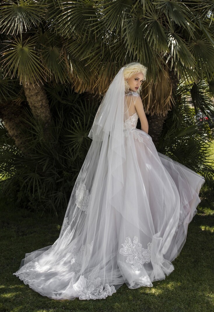 Picture Salvia EN 302 - 4