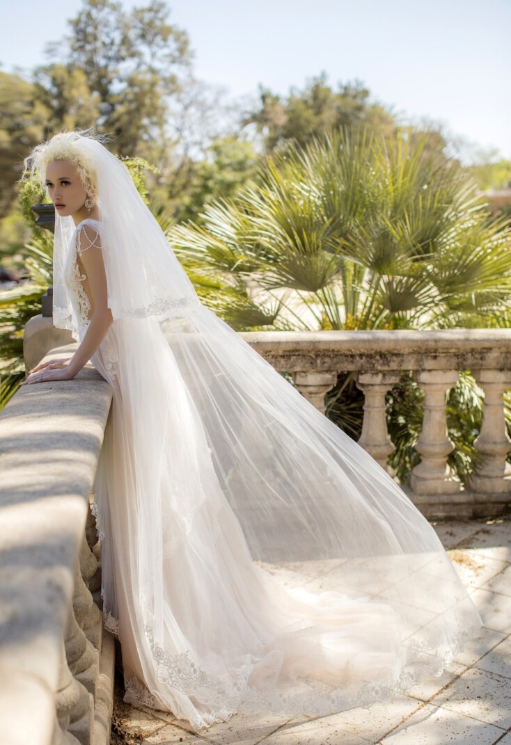 Bild Magnolia DE 303 - 4