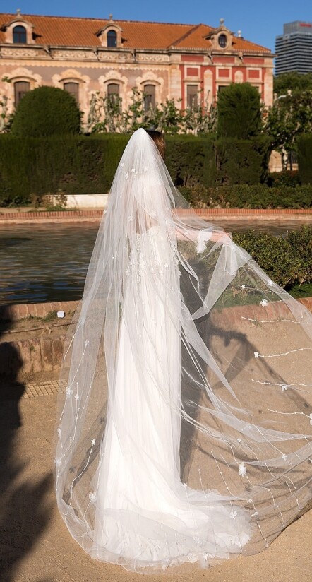 Bild Claris DE 324 - 2