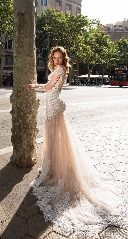 Bild Cervella DE 332 - 2