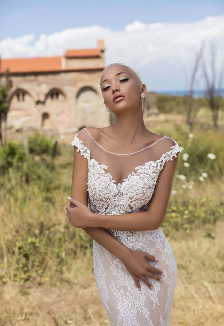 Picture Luxurious Begonia EN 342 - 3