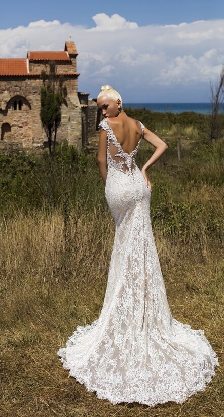 Immagine Luxurious Begonia IT 342 - 2