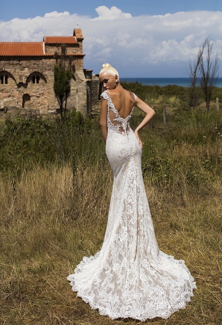 Picture Luxurious Begonia EN 342 - 2