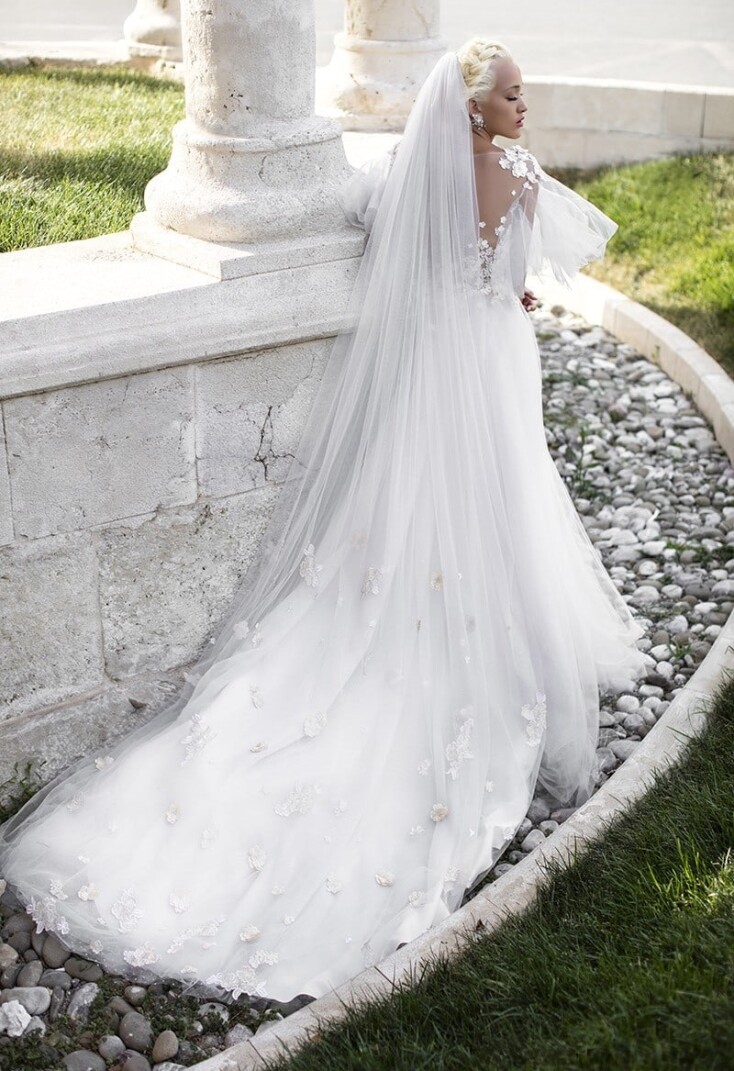 Picture Aerial Alstroemia EN 354 - 2