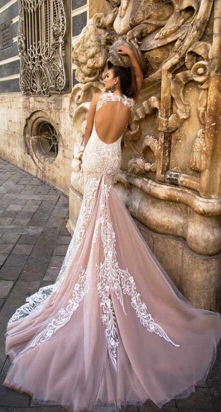 Immagine Elenora IT 382 - 2