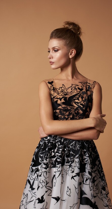 Fotografia Quickstep PL 420 - 3