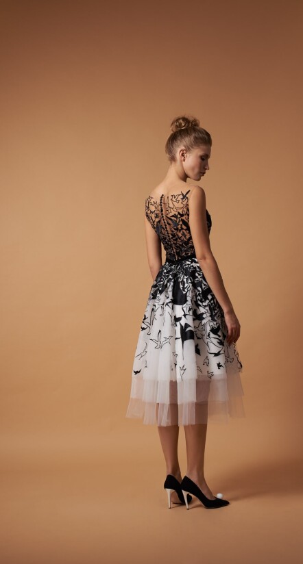 Fotografia Quickstep PL 420 - 2