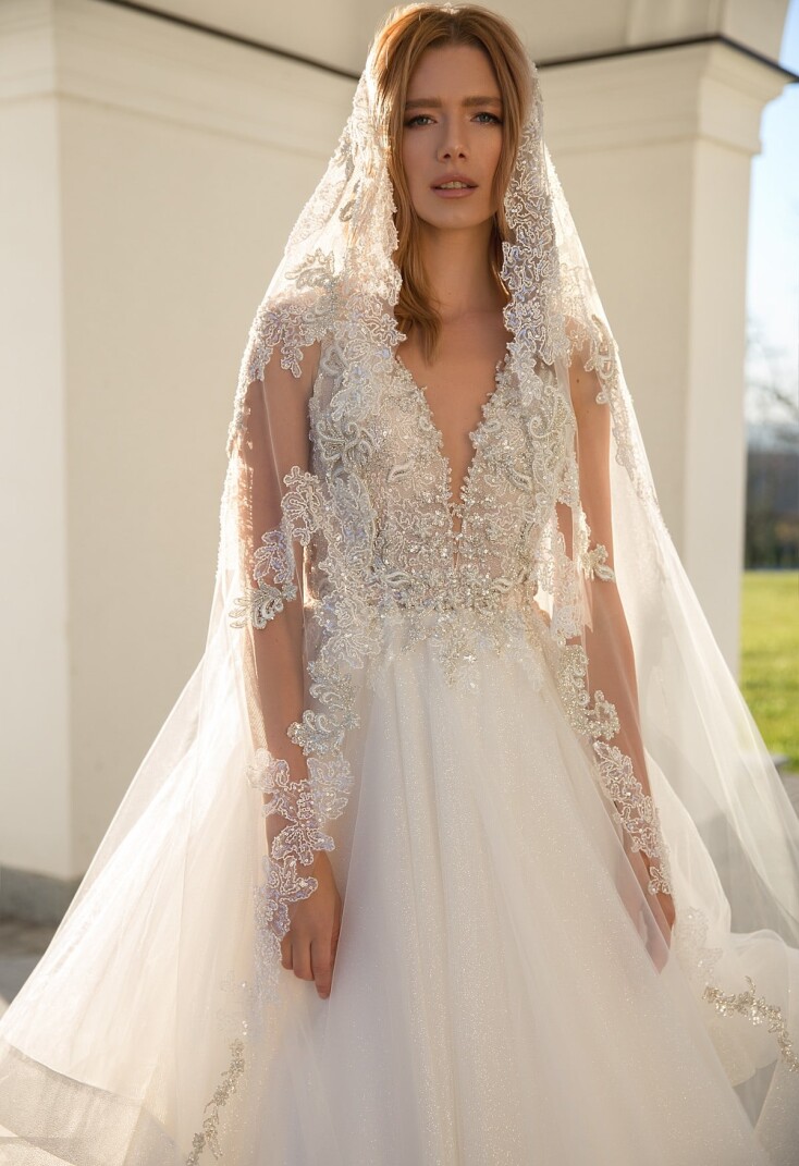 Image V2-L1008/B3520-X FR 890 - 2