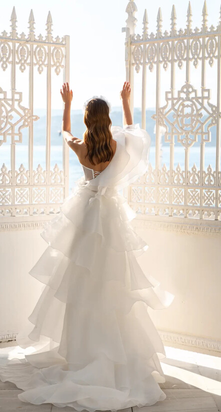 Image AMBROSIA FR 1138 - 2