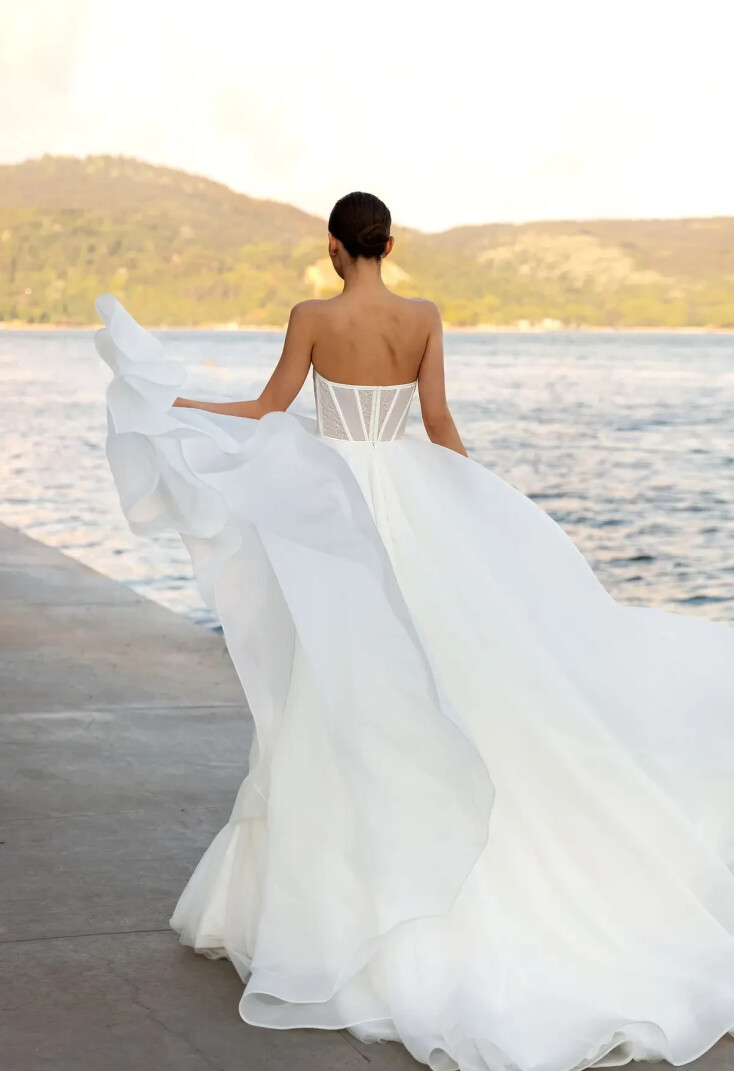 Фотографія Placatia UK 1230 - 2