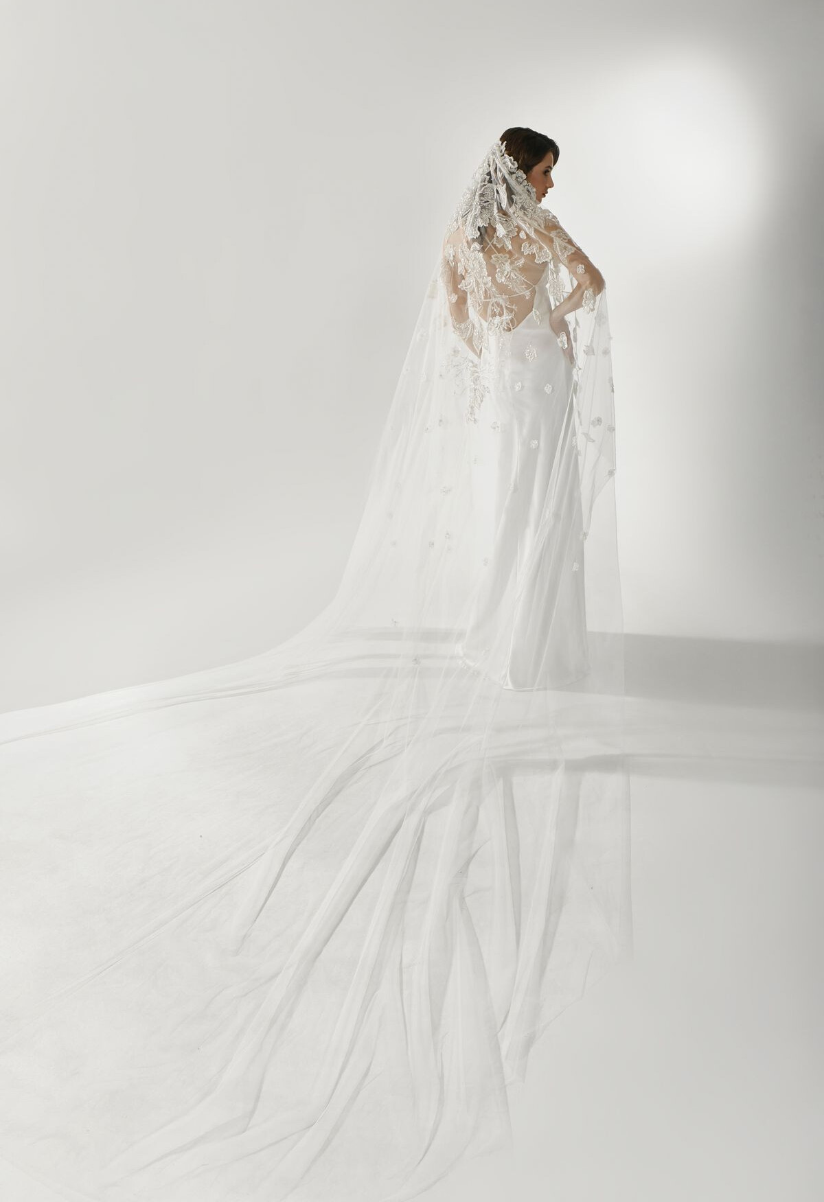 Picture Veil EN 1276 - 2