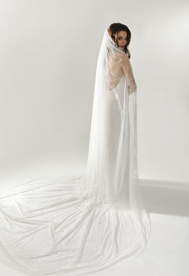 Picture Veil EN 1285 - 2