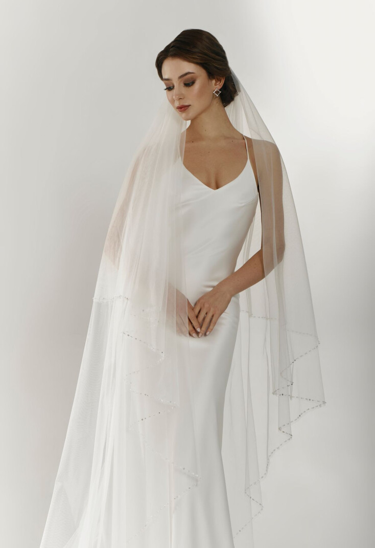 Picture Veil EN 1288 - 4