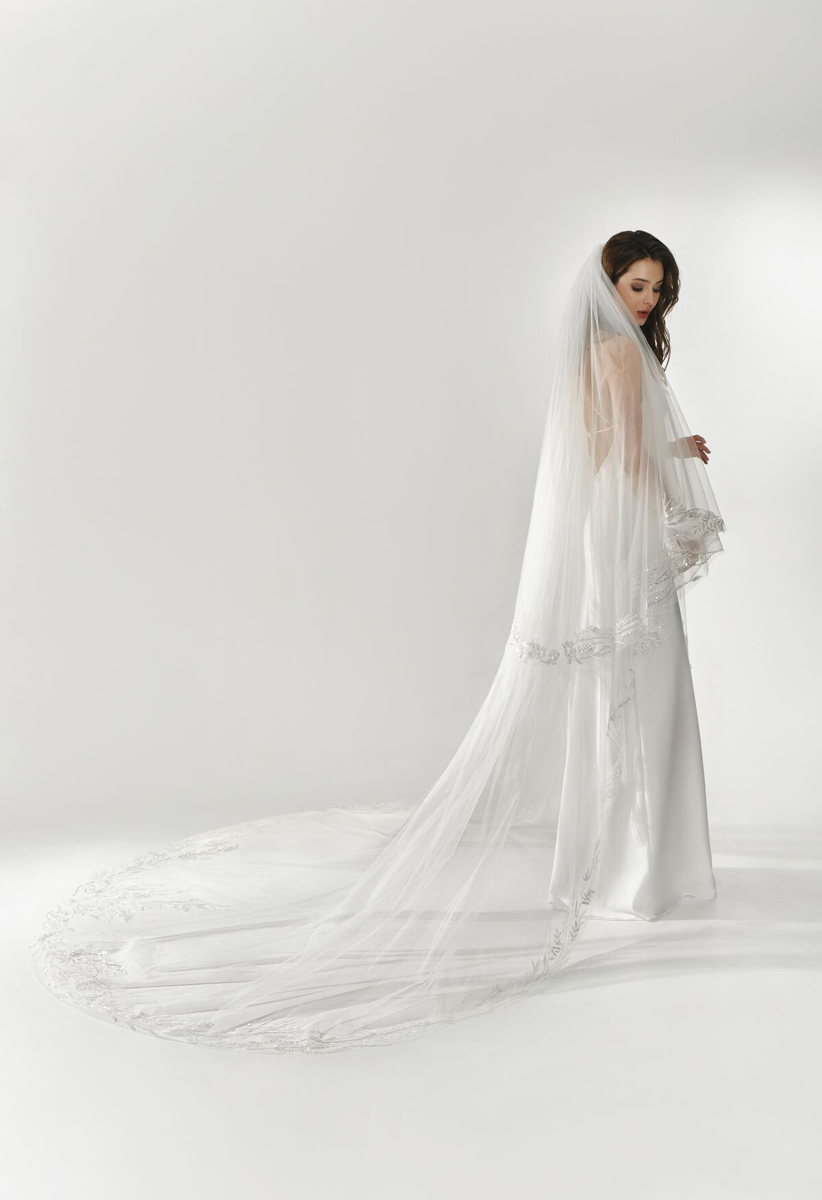 Picture Veil EN 1290 - 2
