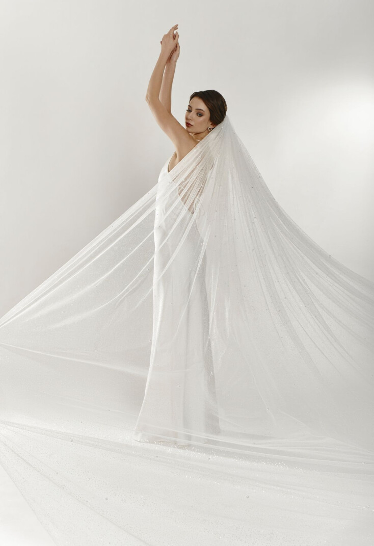 Picture Veil EN 1294 - 2