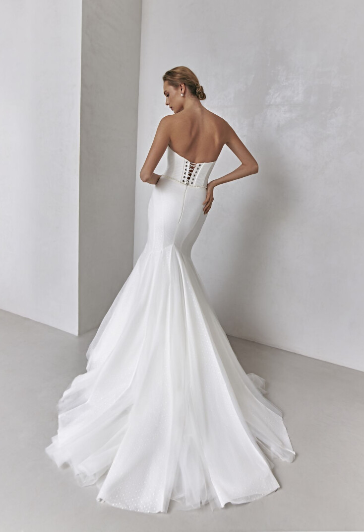 Immagine Etolie IT 1333 - 2