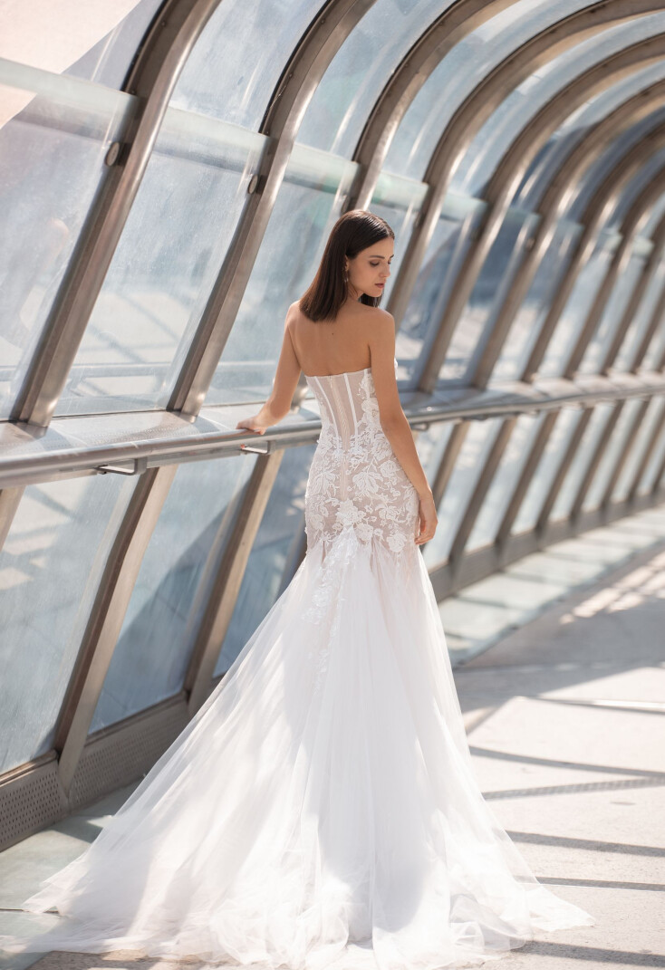 Bild DIOSSA DE 1436 - 2