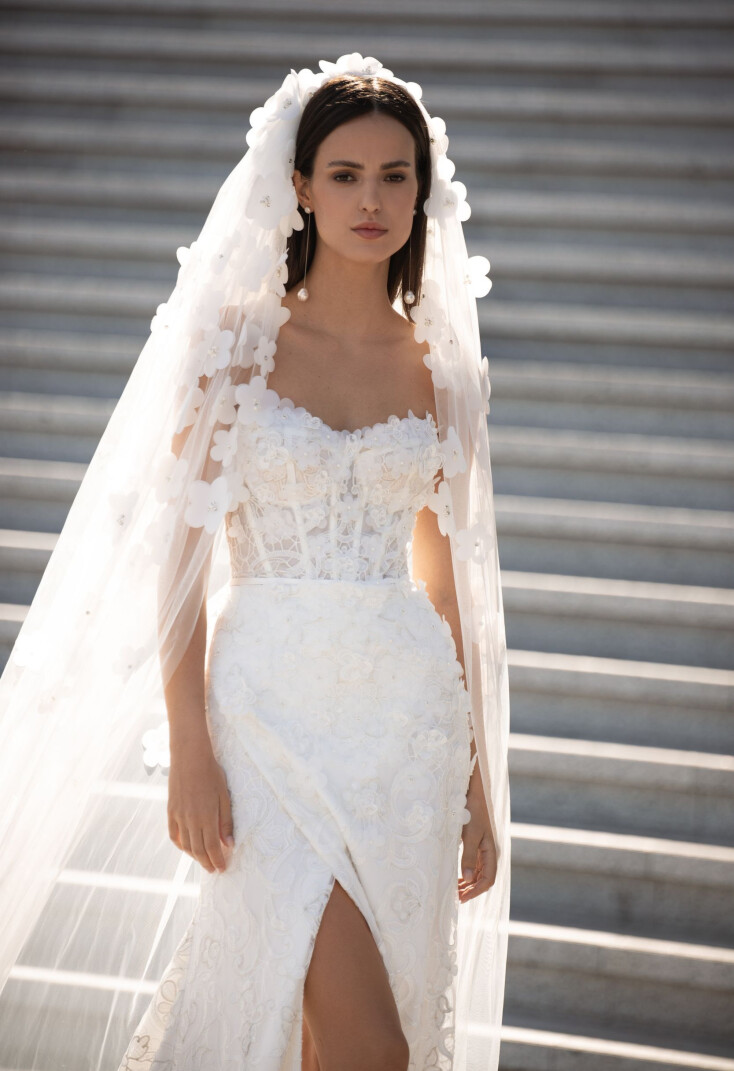 Bild AURELLIA DE 1461 - 3