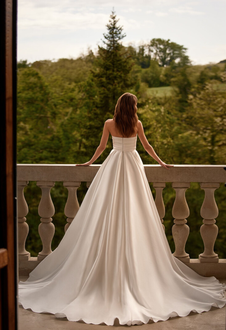 Фото Strelitzia RU 1782 - 2