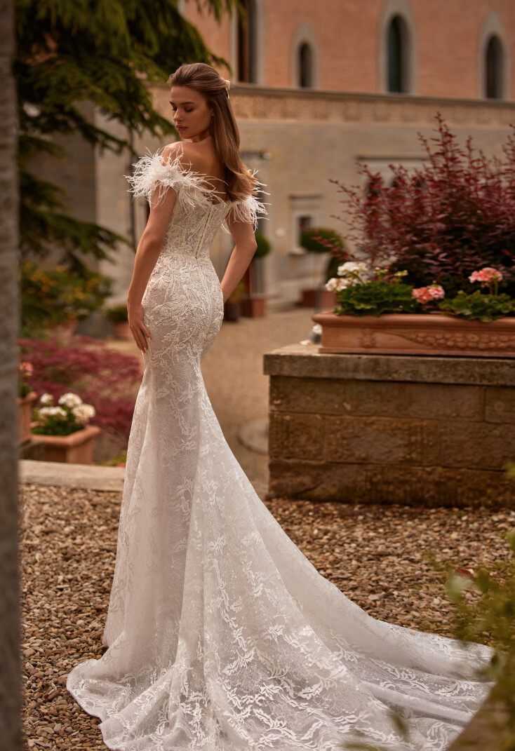 Immagine Tiarella IT 1790 - 2