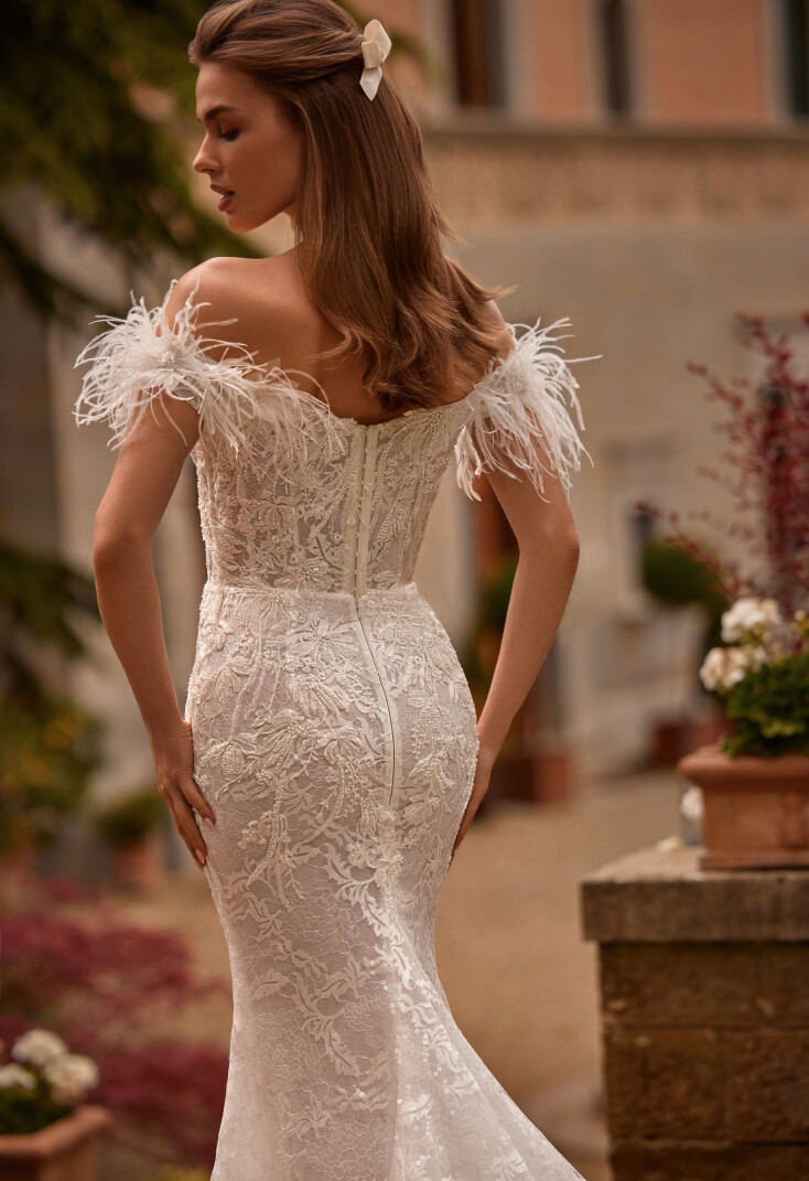 Immagine Tiarella IT 1790 - 4