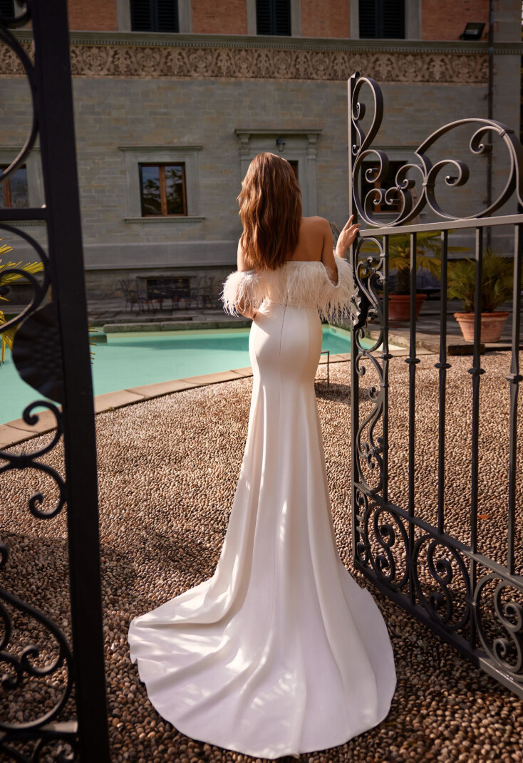 Fotografia Anemonella PL 1793 - 2