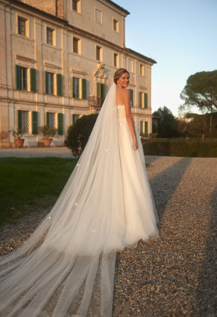 Fotografia Tender blues PL 1911 - 4