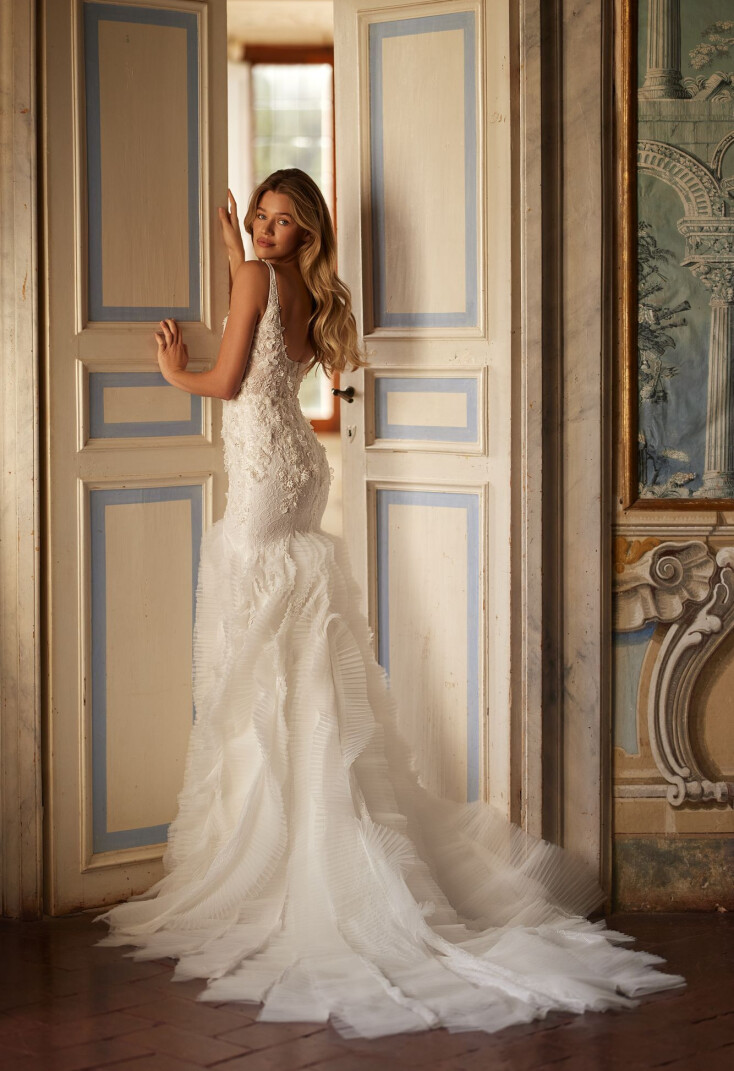 Picture Tender splash EN 1923 - 2