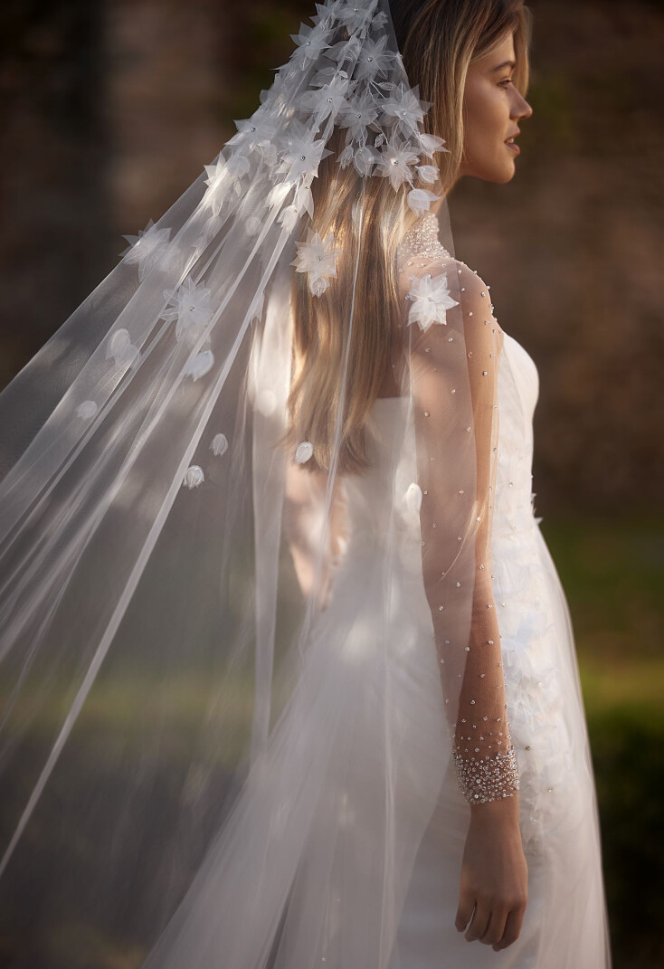 Picture Veil EN 1964 - 2