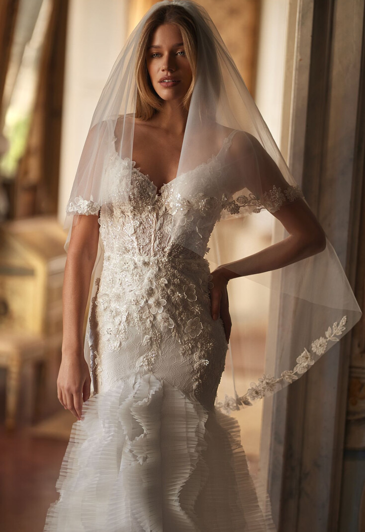 Picture Veil EN 1972 - 2