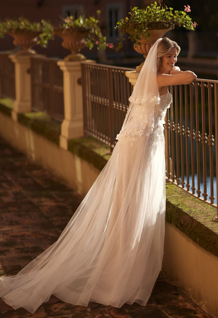 Picture Veil EN 1975 - 2