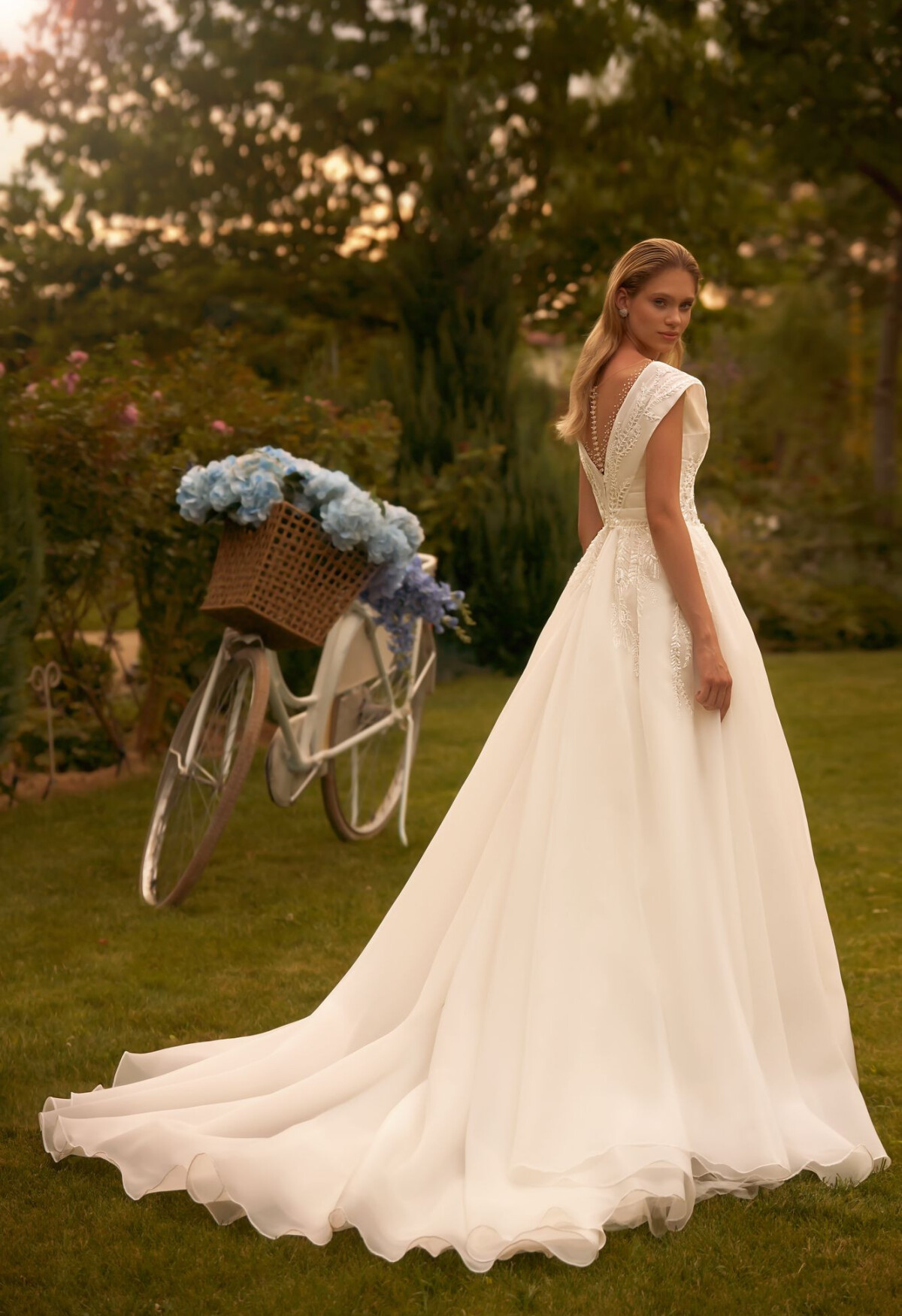 Bild Graceful DE 2052 - 2