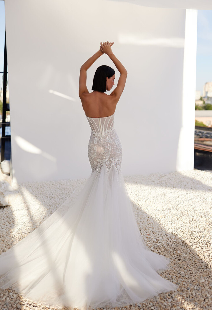 Immagine Topaz IT 2058 - 2