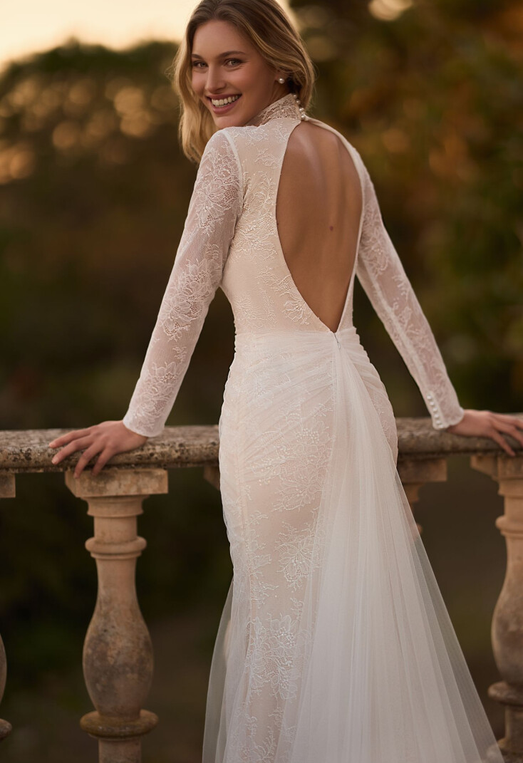 Picture Bellatrix EN 2188 - 3