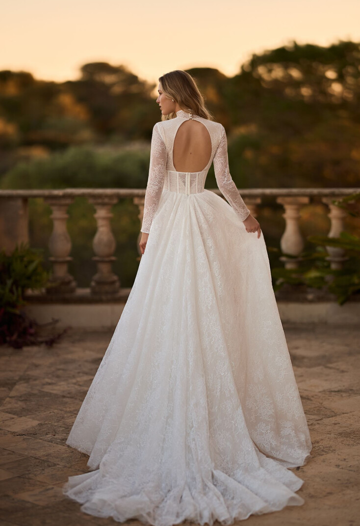 Picture Bellatrix EN 2188 - 2