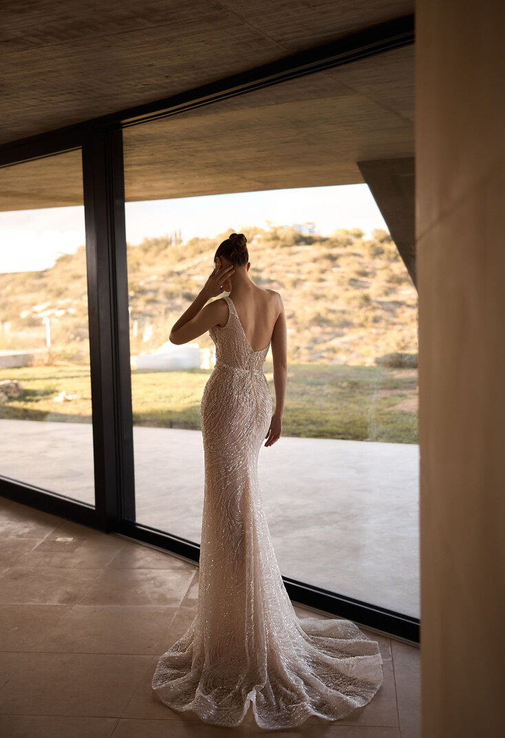 Immagine Vixen IT 2225 - 2